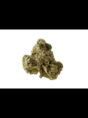 Amsterdam Genetics - AK-OG Kush