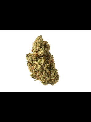 Amsterdam Genetics - Amazing Haze