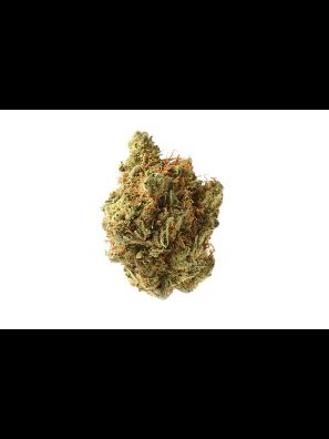Amsterdam Genetics - Amnesia Haze