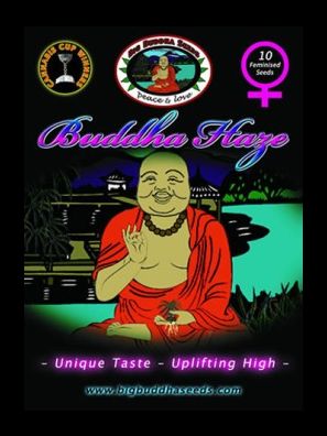 Big Buddha Seeds - Buddha Haze