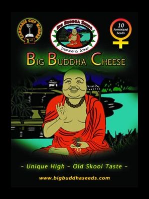 Big Buddha Seeds - Cheese