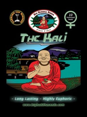 Big Buddha Seeds - The Kali