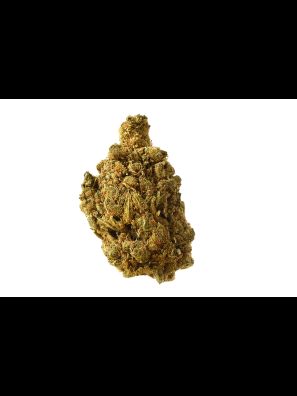 Amsterdam Genetics - Blue Amnesia Autoflower
