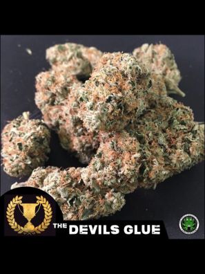 Devils Harvest - The Devils Glue