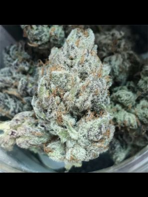Southseeds - Gelato