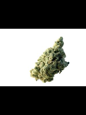 Amsterdam Genetics - Lemon Ice