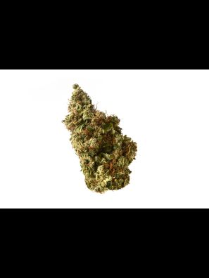 Amsterdam Genetics - Milkshake Kush Autoflower