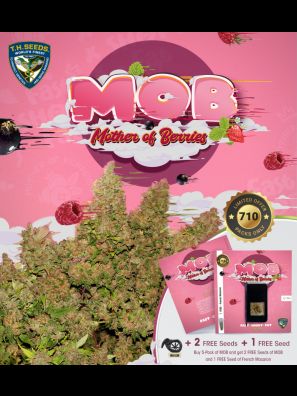 MOB™ - special pack 6+1 free