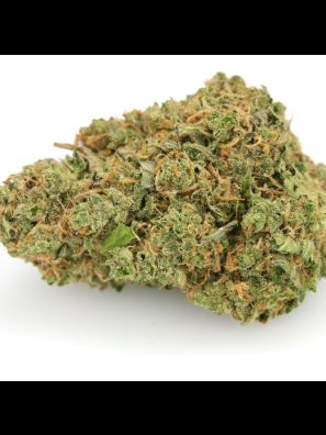 Southseeds - Casey Jones