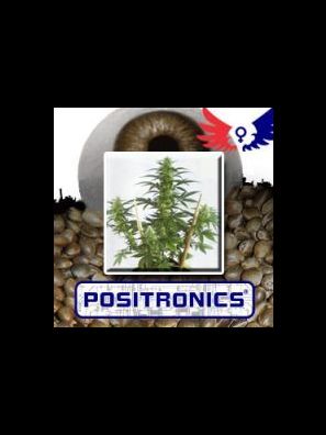 Positronics - Mayday