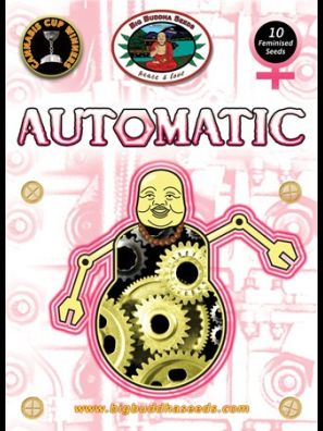 Big Buddha Seeds - Automatic A/F