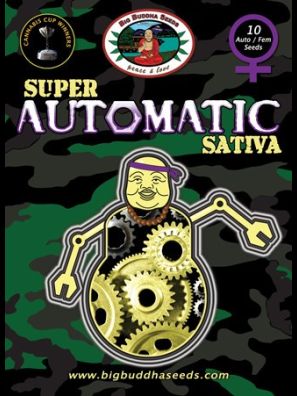 Big Buddha Seeds - S.A.Sativa. A/F
