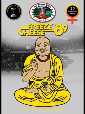 Big Buddha Seeds - Freeze cheese 89