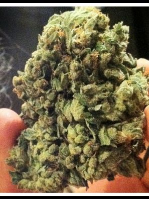 Soma Seeds - So G Kush