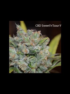 CBD Crew - CBD Sweet and Sour Widow