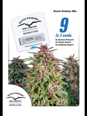 Dutch Passion - Dutch Outdoor Mix