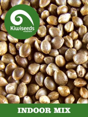 Kiwiseeds - Indoor Mix - Regular