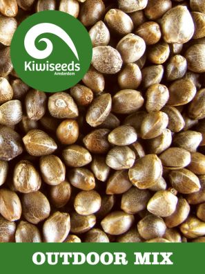 Kiwiseeds - Outdoor Mix - Regular