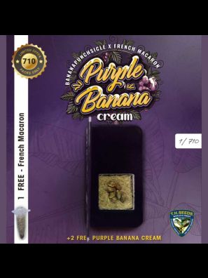 Purple Banana Cream by T.H.Seeds™ 6+1 free