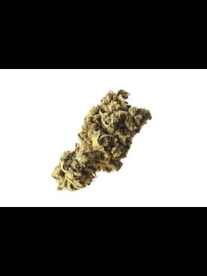 Amsterdam Genetics - Pineapple Kush