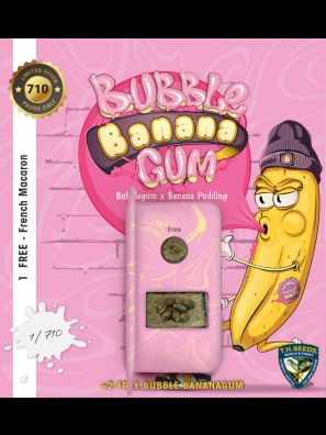 BubbleBananaGum by T.H.Seeds™