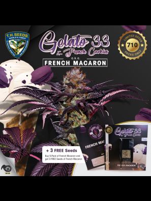 French Macaron Special Pack 6+1 Free