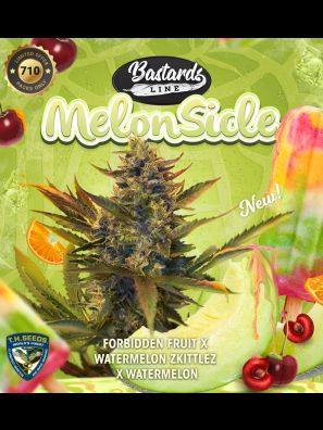 MelonSicle T.H.Seeds™