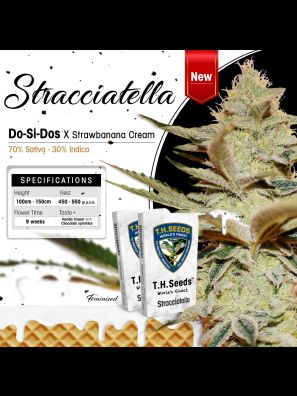 Stracciatella