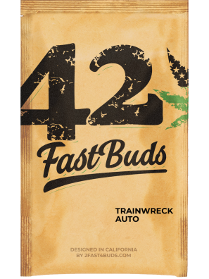 FastBuds - Original Trainwreck Auto