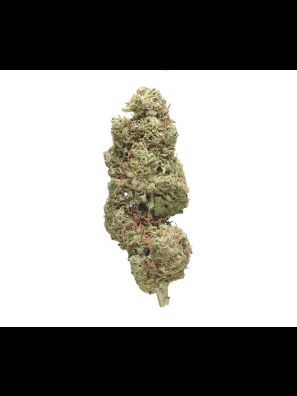 Southseeds - Amsterdam Kali Mist